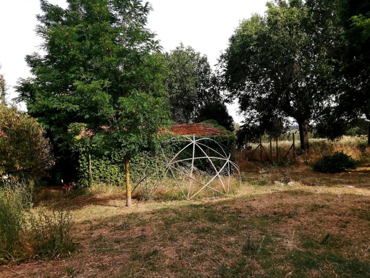 Da Pino Vendégház Montemerano Kültér fotó