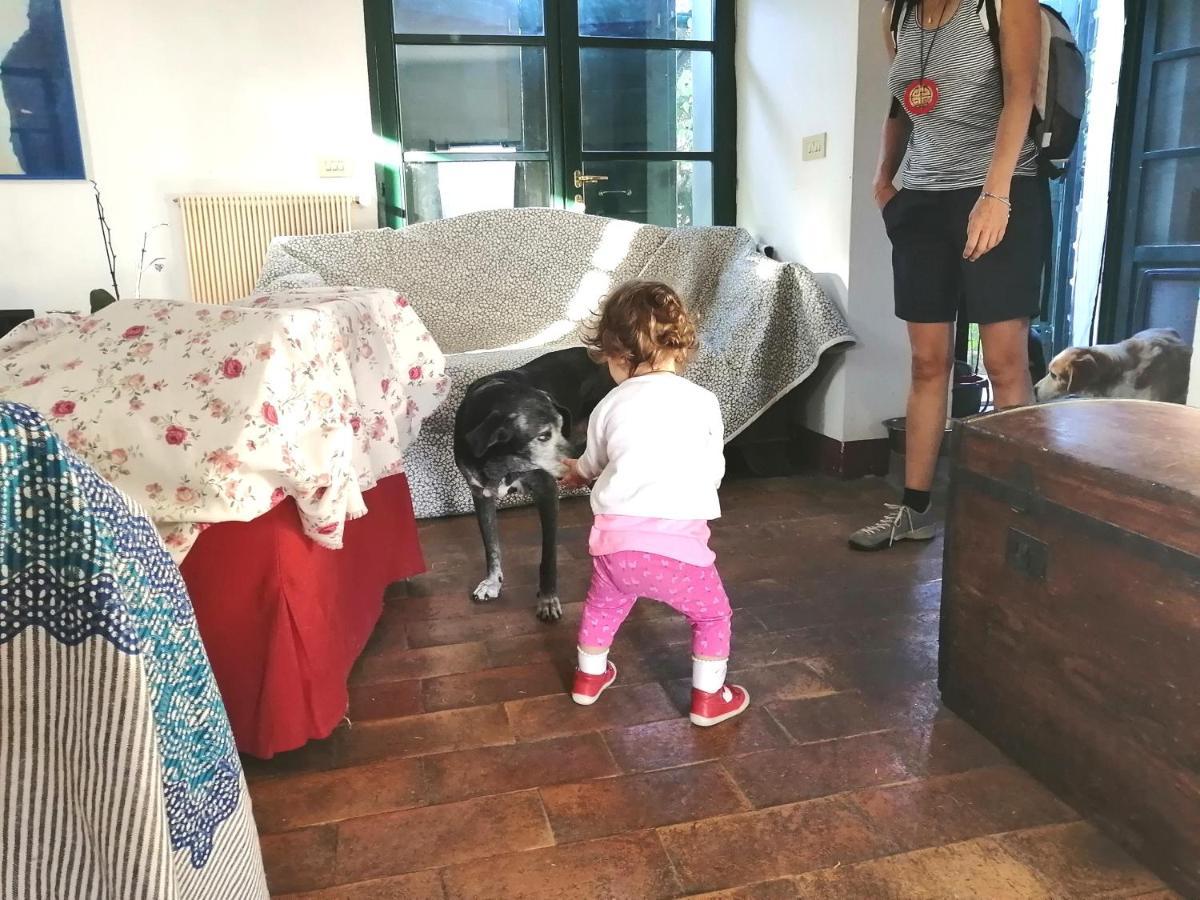 Da Pino Vendégház Montemerano Kültér fotó