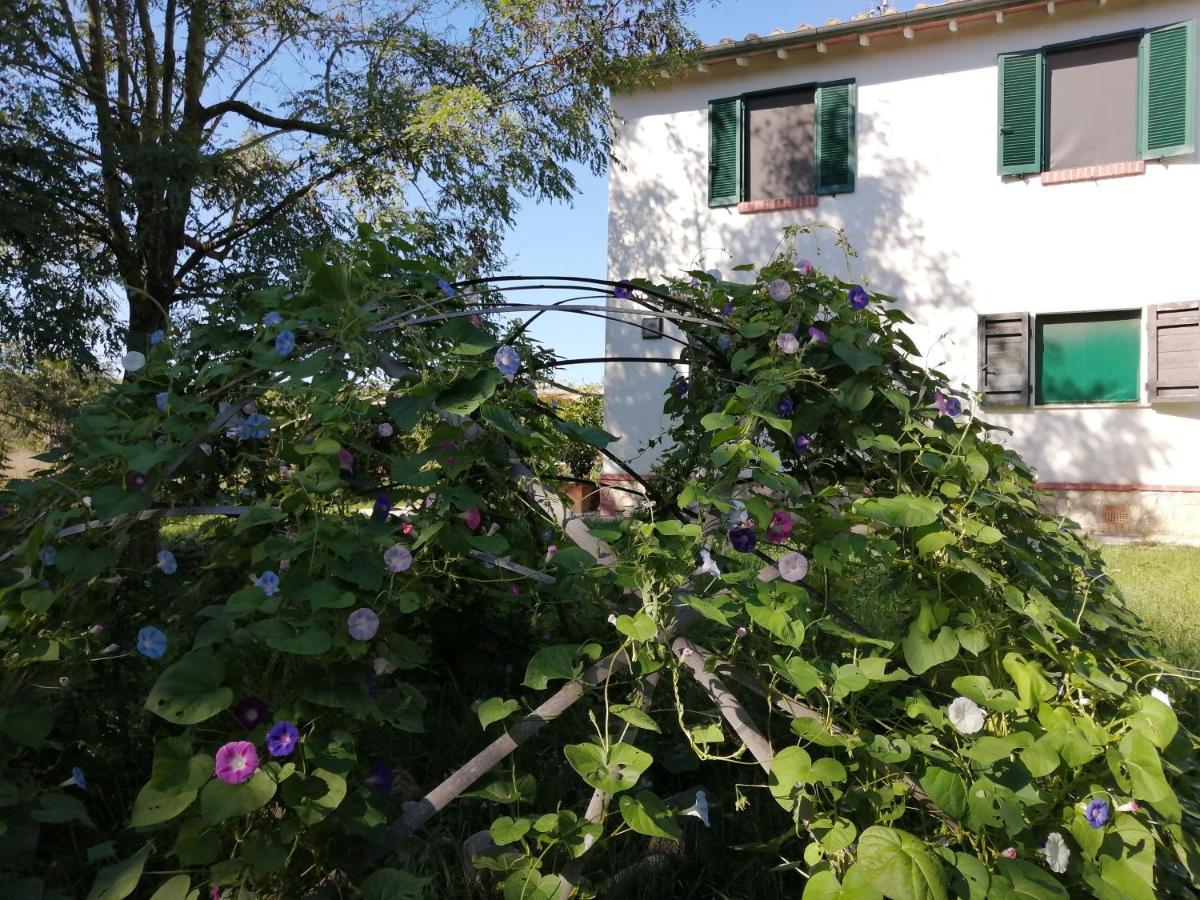 Da Pino Vendégház Montemerano Kültér fotó